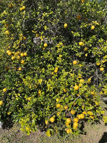 333 THE ESPLANADE N 108, Venice, FL 34285