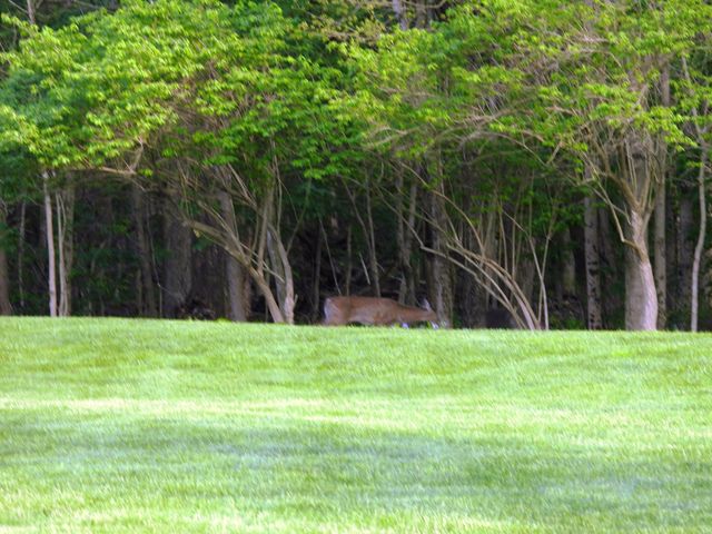 2732 Summer Field Trail 2732 Summer Field Trail, Sidney, OH 45365