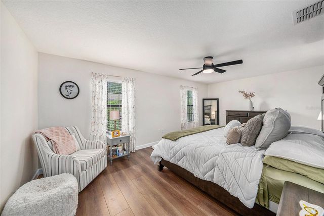 17288 OLD TOBACCO ROAD, Lutz, FL 33558