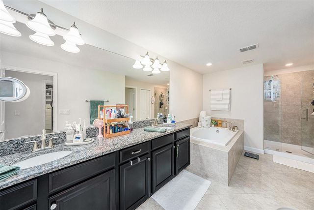 17288 OLD TOBACCO ROAD, Lutz, FL 33558