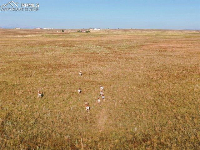 11950 N Log Road, Peyton, CO 80831