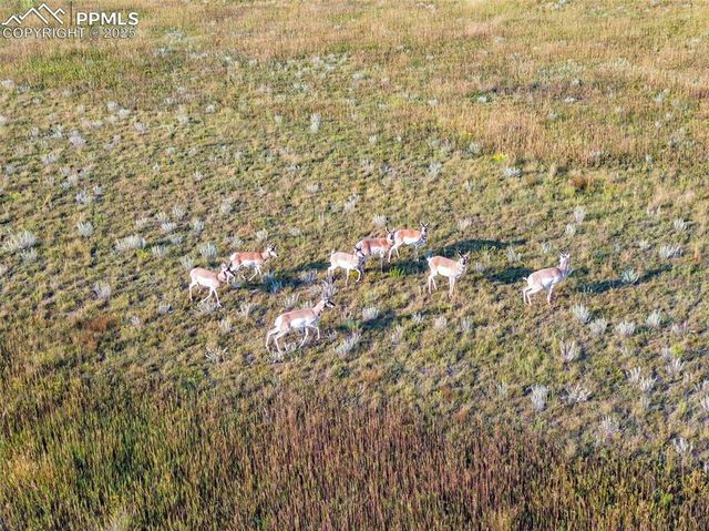 11950 N Log Road, Peyton, CO 80831