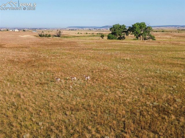 11950 N Log Road, Peyton, CO 80831