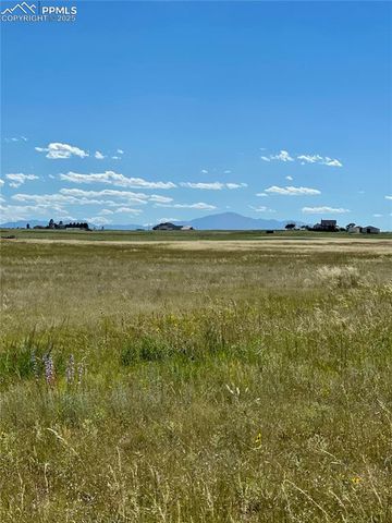 11950 N Log Road, Peyton, CO 80831