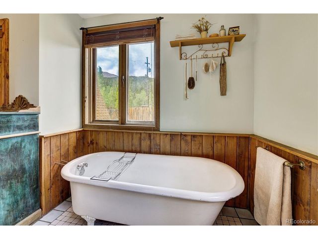 1155 CO Rd 6, Alma, CO 80420