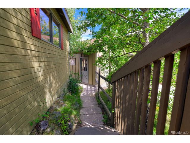 1155 CO Rd 6, Alma, CO 80420