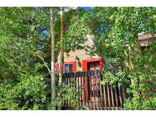 1155 CO Rd 6, Alma, CO 80420