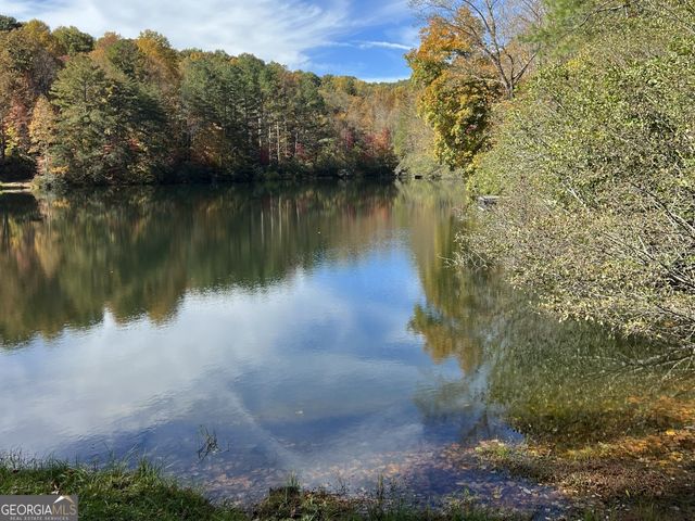 173 Mountain Laurel Lane, Ellijay, GA 30536
