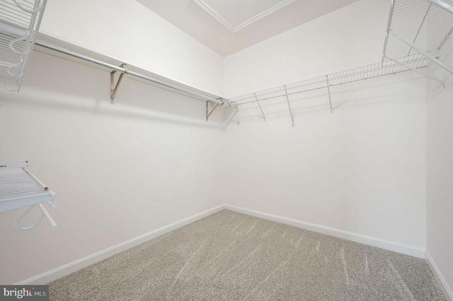 204 MAHOGANY PL, Dover, DE 19901