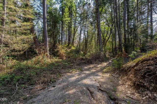 232 Riessen Road, Grants Pass, OR 97526