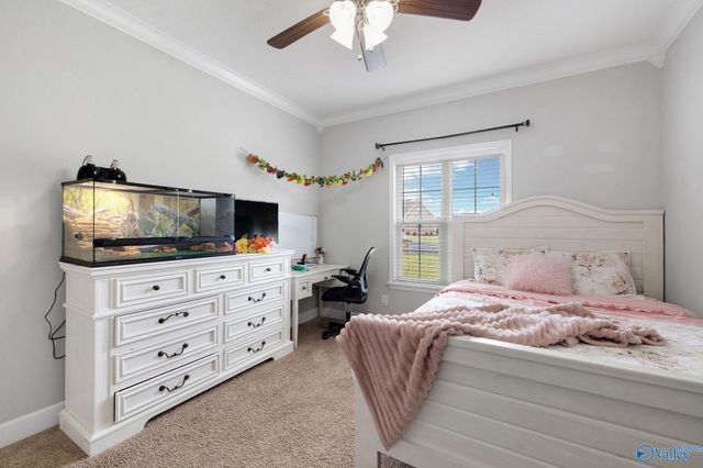 179 Timberline Drive, Arab, AL 35016