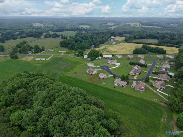 179 Timberline Drive, Arab, AL 35016