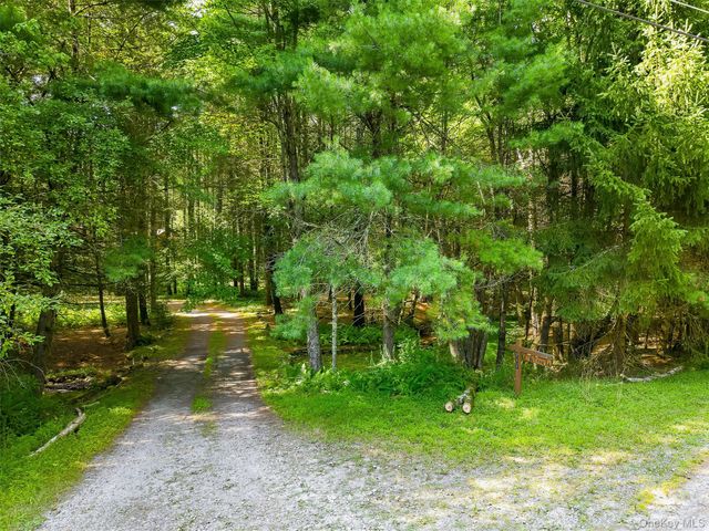 111 Deer Meadow Road, White Lake, NY 12786
