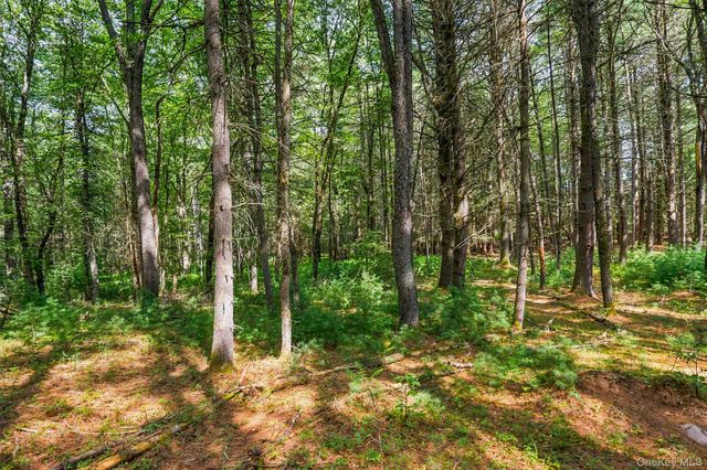 111 Deer Meadow Road, White Lake, NY 12786