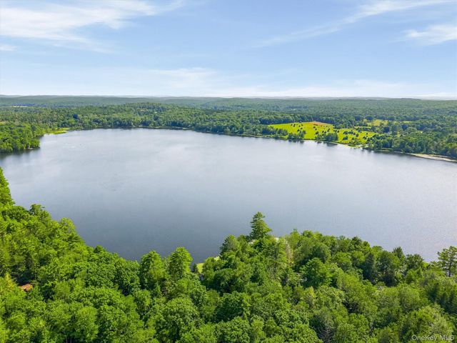111 Deer Meadow Road, White Lake, NY 12786