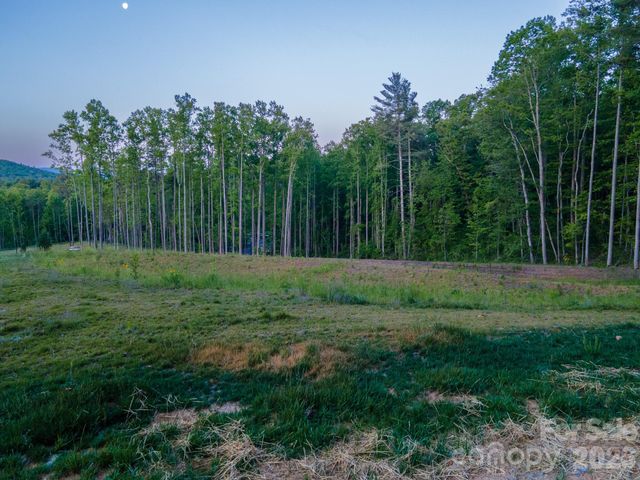 444 Irvine Drive, Fairview, NC 28730