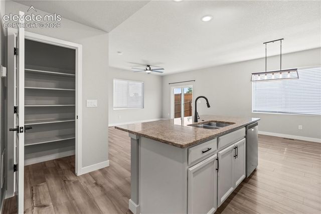 6175 Godwit Lane, Colorado Springs, CO 80925