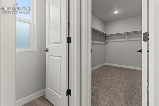 6175 Godwit Lane, Colorado Springs, CO 80925