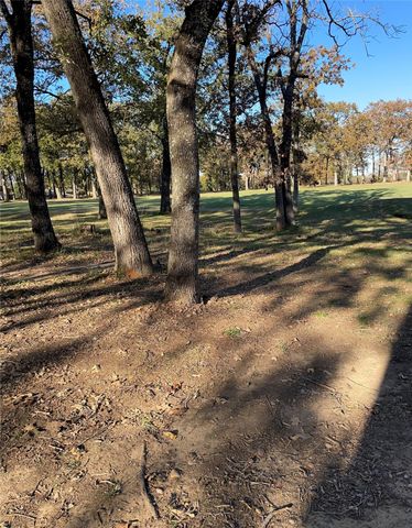 107 Bay Tree Trail, Mabank, TX 75156