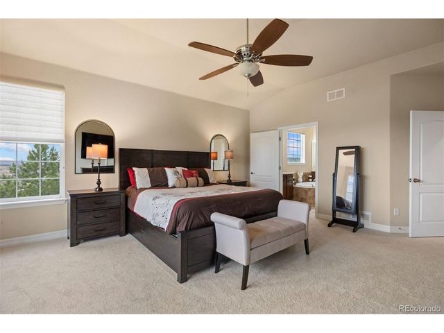 1676 Bent Wedge Pt, Castle Rock, CO 80109