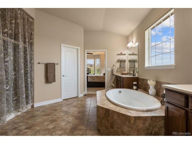 1676 Bent Wedge Pt, Castle Rock, CO 80109