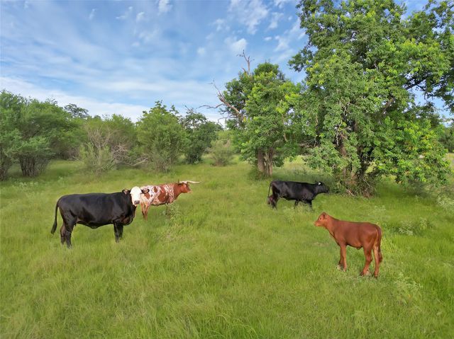 868 Lisa Mae Road, Bellville, TX 77418