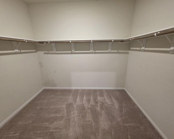 305 Lippizan Drive, Alvin, TX 77511