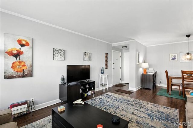 2 Delcrest Court 202, University City, MO 63124