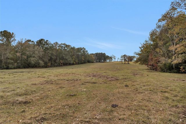 TBD Midway Loop E, Livingston, TX 77351