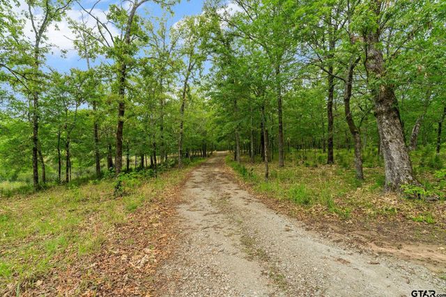 592 RS County Road 1151, Emory, TX 75440