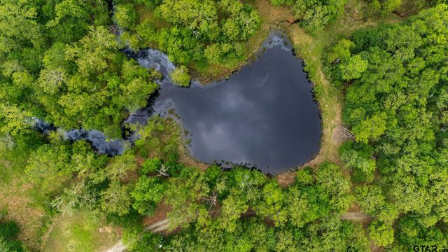 592 RS County Road 1151, Emory, TX 75440