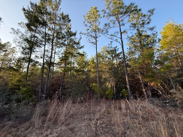 Lot 5 Blk 54 on Forest Lane, Defuniak Springs, FL 32433