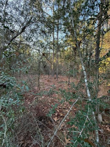 Lot 5 Blk 54 on Forest Lane, Defuniak Springs, FL 32433