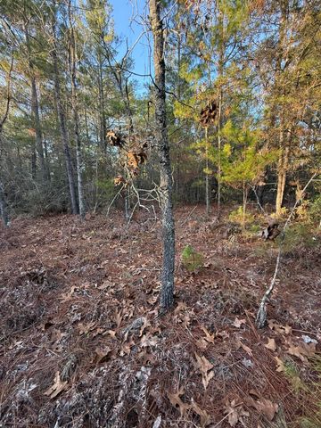 Lot 5 Blk 54 on Forest Lane, Defuniak Springs, FL 32433