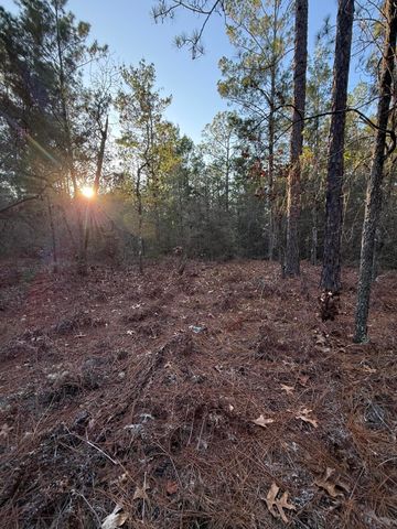 Lot 5 Blk 54 on Forest Lane, Defuniak Springs, FL 32433