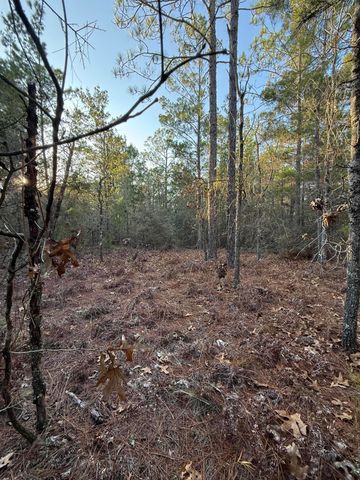 Lot 5 Blk 54 on Forest Lane, Defuniak Springs, FL 32433