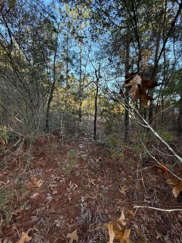 Lot 5 Blk 54 on Forest Lane, Defuniak Springs, FL 32433