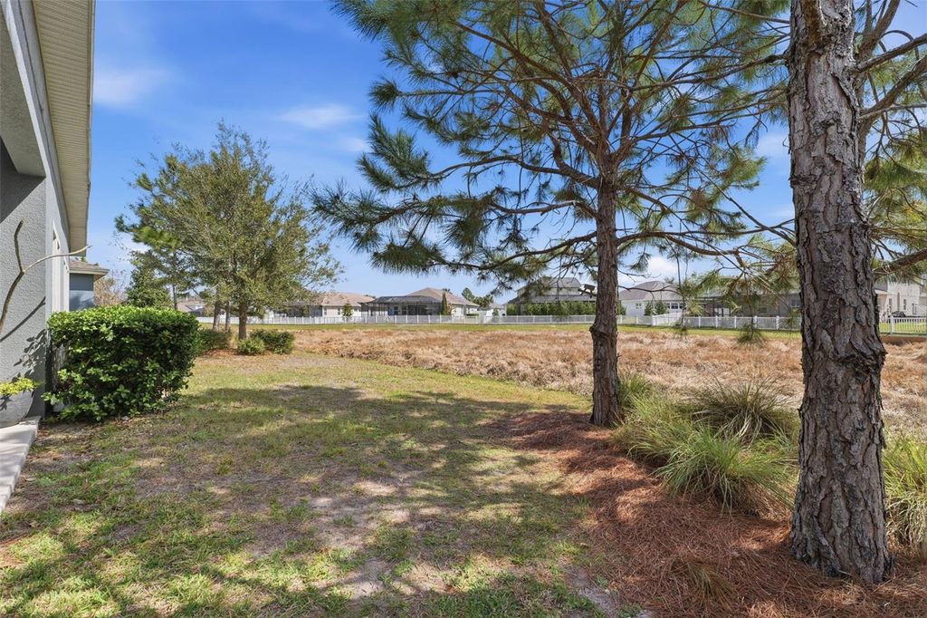 Image 39 of property listing at 8130 WATER COLOR DRIVE, Land O Lakes, FL 34638