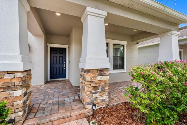 19343 PADDOCK VIEW DRIVE, Tampa, FL 33647