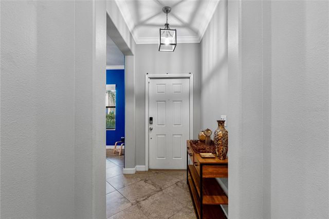 19343 PADDOCK VIEW DRIVE, Tampa, FL 33647