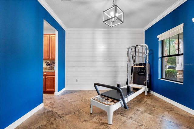 19343 PADDOCK VIEW DRIVE, Tampa, FL 33647
