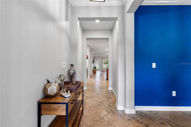 19343 PADDOCK VIEW DRIVE, Tampa, FL 33647