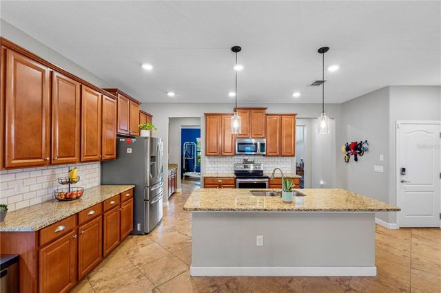 19343 PADDOCK VIEW DRIVE, Tampa, FL 33647