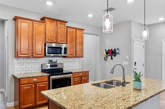 19343 PADDOCK VIEW DRIVE, Tampa, FL 33647