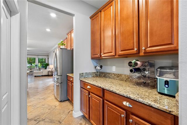 19343 PADDOCK VIEW DRIVE, Tampa, FL 33647