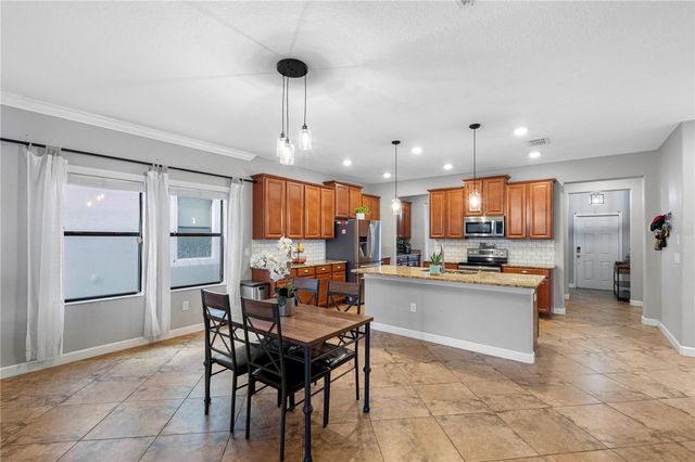 19343 PADDOCK VIEW DRIVE, Tampa, FL 33647