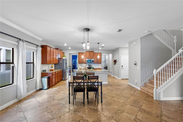 19343 PADDOCK VIEW DRIVE, Tampa, FL 33647