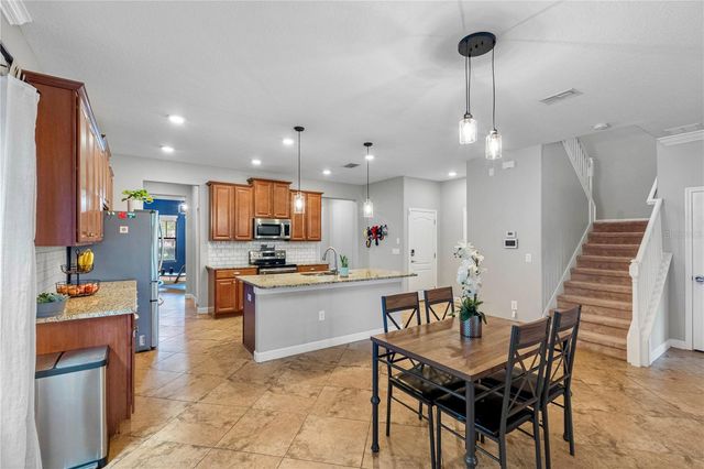 19343 PADDOCK VIEW DRIVE, Tampa, FL 33647