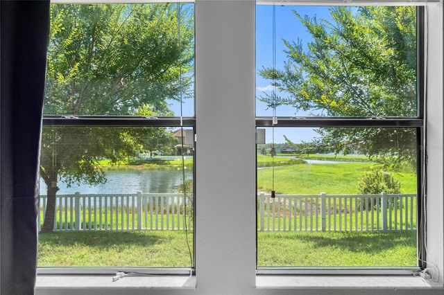 19343 PADDOCK VIEW DRIVE, Tampa, FL 33647