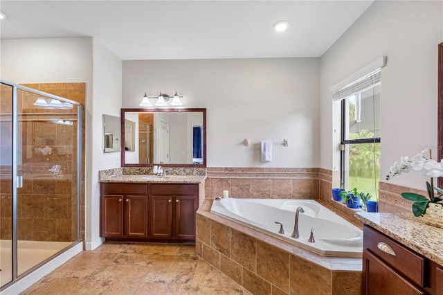 19343 PADDOCK VIEW DRIVE, Tampa, FL 33647